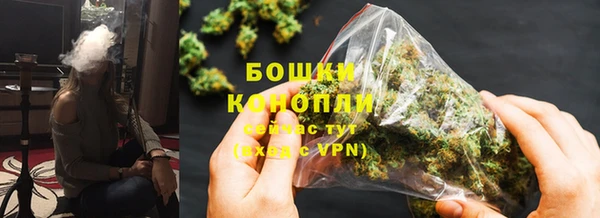 индика Приозерск
