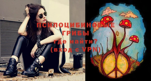 индика Приозерск