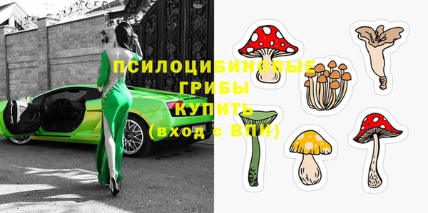 индика Приозерск