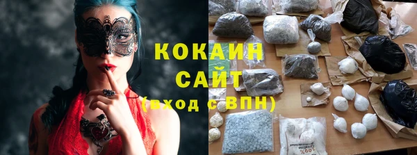 метадон Каменка