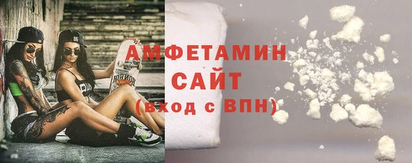 индика Приозерск
