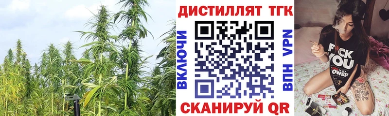 как найти наркотики  Волжск  ТГК гашишное масло 