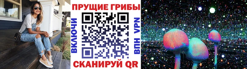 Псилоцибиновые грибы GOLDEN TEACHER где продают Волжск
