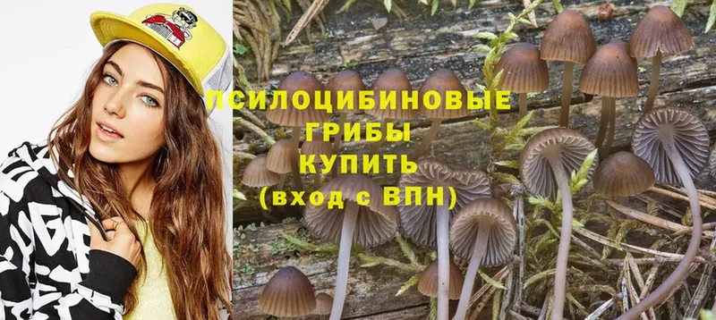 Псилоцибиновые грибы Psilocybe  KRAKEN вход  Волжск  магазин   