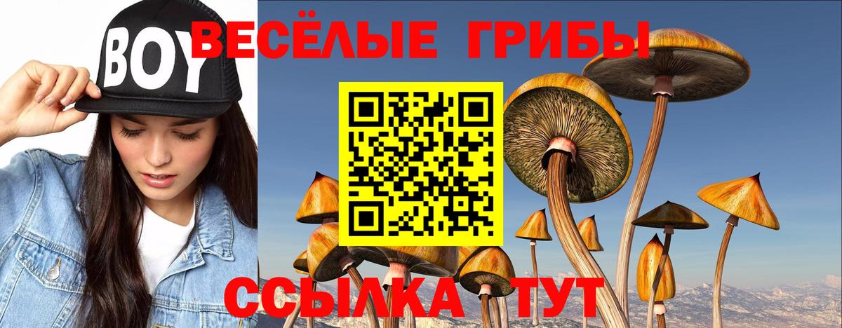 Галлюциногенные грибы мухоморы  Вход с VPN  Волжск 