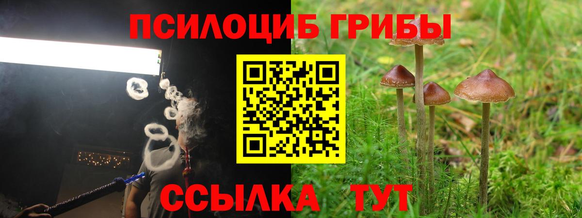 APVP Волжск