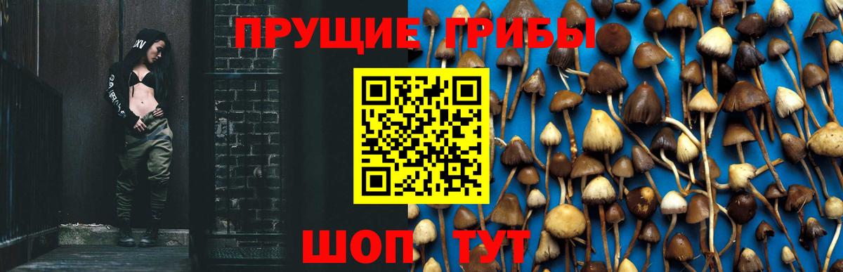 Галлюциногенные грибы мухоморы Волжск